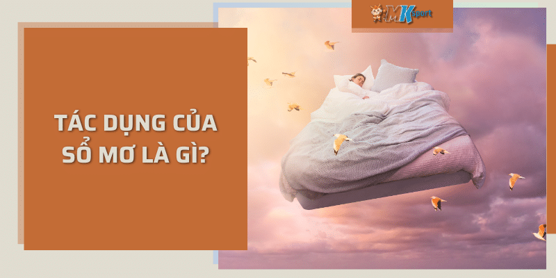 Tác dụng của sổ mơ là gì?