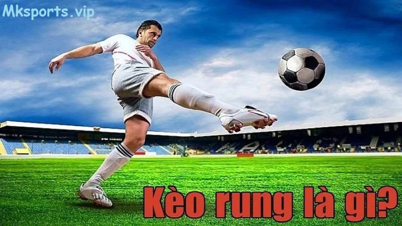 Tìm hiểu kèo rung là gì