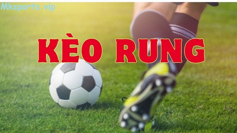 Các loại kèo rung có tại mk sports