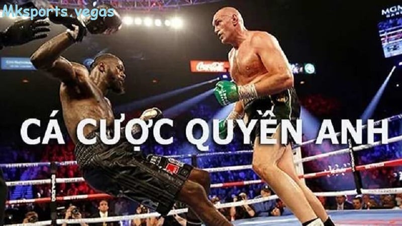 Tìm hiểu về cá cược boxing tại nhà cái mksports