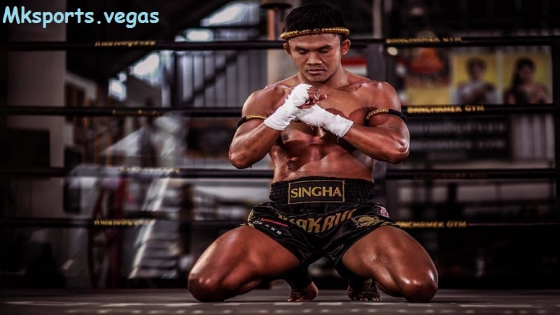 Chiến lược chơi boxing tại mksports chia sẻ từ chuyên gia anh em nên nắm bắt