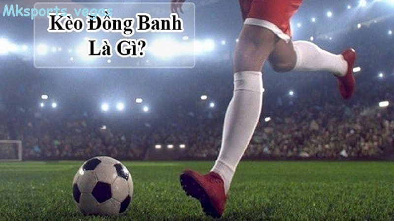 Tìm hiểu về kèo đồng banh của nhà cái mk sports