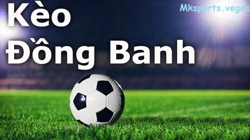 Bí kiếp soi kèo đồng banh tại mk sports chuẩn nhất cho anh em