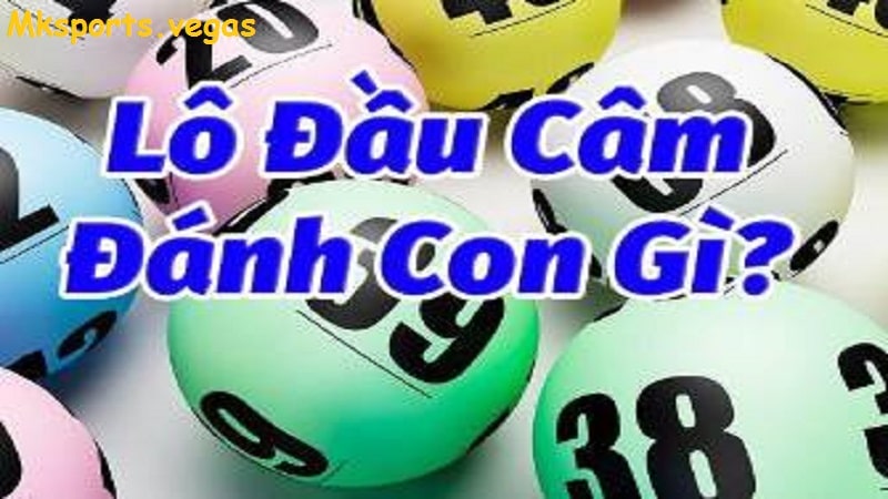 Tìm hiểu về Lô đầu câm tại nhà cái mk sports